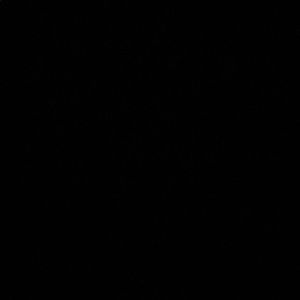 Meet your Posher, Quin